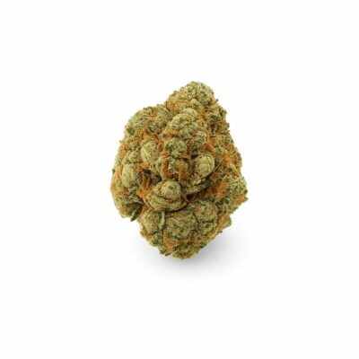 Close-up of a White Widow cannabis bud featuring frosty trichomes and orange hairs, with a compact, crystal-covered appearance on a white background.