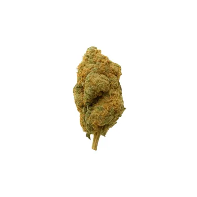 Candyland strain – uplifting sativa hybrid cannabis with sweet fruity flavors and creative effects.