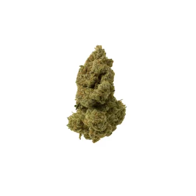 Dirty little secret strain – uplifting sativa hybrid cannabis with fruity berry flavors and creative effects.