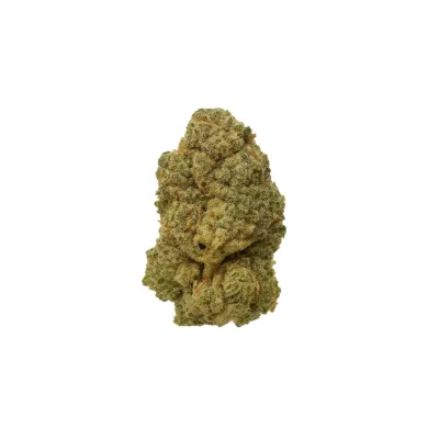 Frosty gelato cannabis flower – sativa-dominant buds with sweet berry aroma.