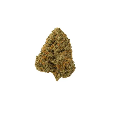 OG Shark strain – powerful indica hybrid cannabis with euphoric, relaxing effects and diesel flavor.