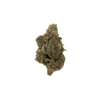 Purple urkle strain – relaxing indica cannabis with grape and berry flavors for pain and insomnia relief.