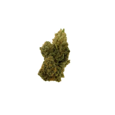 Scotty 2 Hotty strain – potent indica hybrid with relaxing effects and sweet diesel flavor.